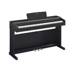 Yamaha Arius YDP-144 Digital Piano Black Walnut(Yamaha Arius Ydp 144 Digital Piano Black Walnut)