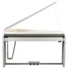 Dexibell VIVO H10MG Digital Mini Grand Piano, Polished White(Dexibell Vivo H10mg Digital Mini Grand Piano Polished White)