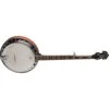 Washburn Americana 5-String Banjo(Washburn Americana 5 String Banjo)