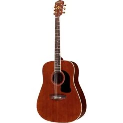 Washburn WD100 Series Dreadnought Acoustic Guitar(Washburn Wd100 Series Dreadnought Acoustic Guitar)