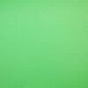 Savage 5 X 7-Foot Solid Vinyl Backdrop Background, Chroma Green(Savage 5 X 7 Foot Solid Vinyl Backdrop Background Chroma Green)