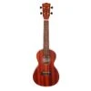Denver DUKEC-SAP Denver Concert Ukulele With Sapele Wood(Denver Dukec Sap Denver Concert Ukulele With Sapele Wood)