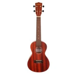 Denver DUKEC-SAP Denver Concert Ukulele With Sapele Wood(Denver Dukec Sap Denver Concert Ukulele With Sapele Wood)