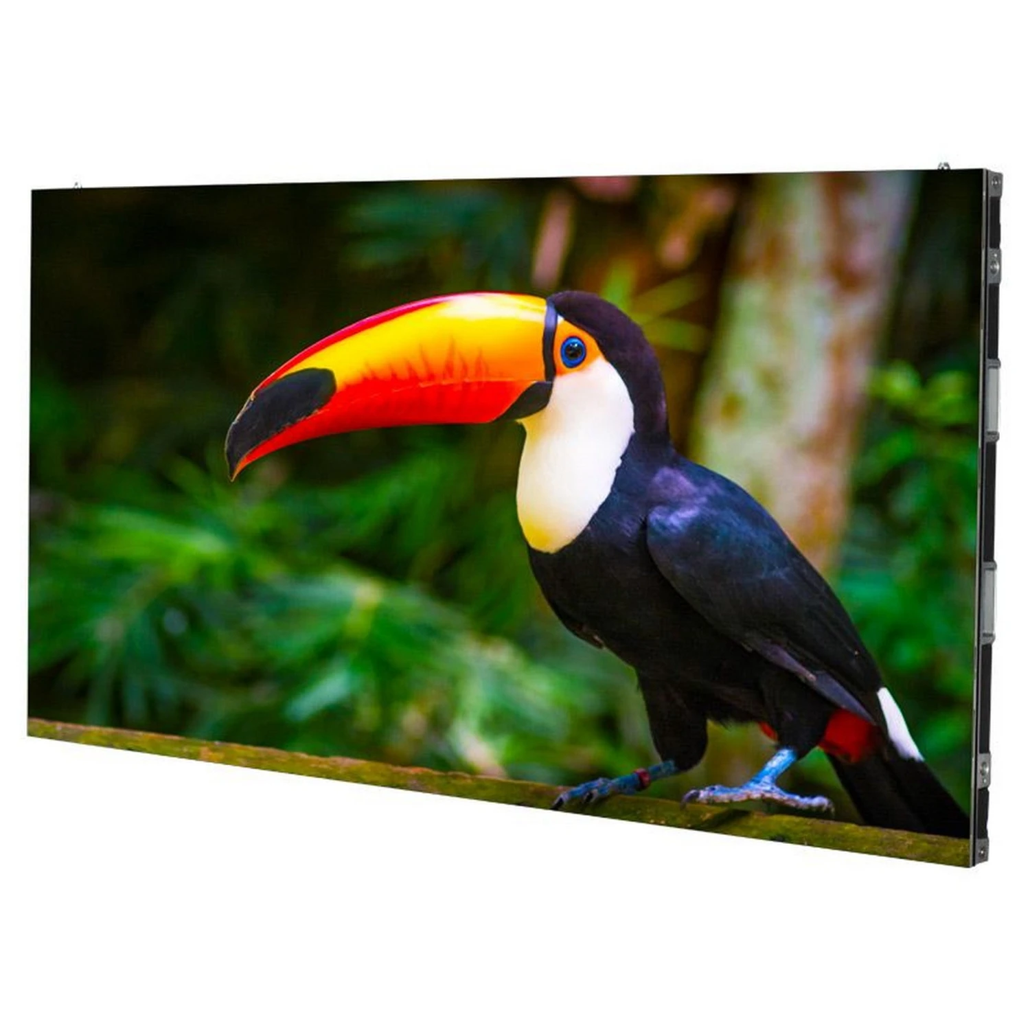 ADJ WMS1 1.9mm Pixel Pitch LED Video Panel With Wired DNC(Adj Wms1 19mm Pixel Pitch Led Video Panel With Wired Dnc) 2 ADJ WMS1 1.9mm Pixel Pitch LED Video Panel With Wired DNC(Adj Wms1 19mm Pixel Pitch Led Video Panel With Wired Dnc) - Image 2