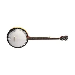 Washburn B9 5-String Americana Series Banjo, Sunburst(Washburn B9 5 String Americana Series Banjo Sunburst)