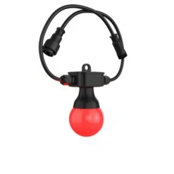 Chauvet DJ Festoon 2 RGB Décor String Lighting System(Chauvet Dj Festoon 2 Rgb Decor String Lighting System) -AVL Gear Outlet 3 chauvet dj festoon 2 rgb 4455274a 0aaa 4afa 8832 9abf85e481f6