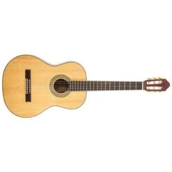 Peavey Delta Woods CNS-2 Classical Nylon String Guitar(Peavey Delta Woods Cns 2 Classical Nylon String Guitar)