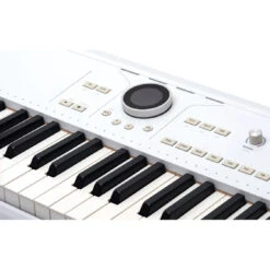 Arturia Astrolab 61-Key Stage Keyboard With 1300 Onboard Presets(Arturia Astrolab 61 Key Stage Keyboard With 1300 Onboard Presets) -AVL Gear Outlet 7112244b 3864 472b b5d8 f92109c485a2