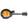 Washburn Americana M108SW 8-String Mandolin(Washburn Americana M108sw 8 String Mandolin)