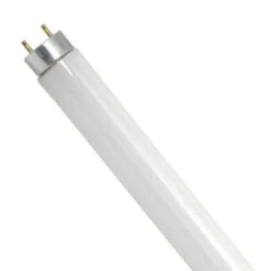 Ushio 3000524 Ultra 8 T8 48-Inch 3150 Lumens Linear Fluorescent, F32T8/850(Ushio 3000524 Ultra 8 T8 48 Inch 3150 Lumens Linear Fluorescent F32t8 850)