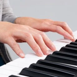 Yamaha PSR-E283 61-Key Entry-Level Portable Keyboard(Yamaha Psr E283 61 Key Entry Level Portable Keyboard) -AVL Gear Outlet c93d2b9b c94d 422b 98b0 9499902ca2e5