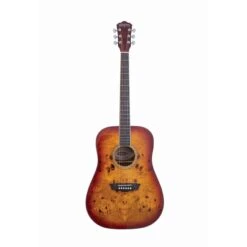 Washburn DFBDA Deep Forest Burl Dreadnought Acoustic Guitar, Amber Fade(Washburn Dfbda Deep Forest Burl Dreadnought Acoustic Guitar Amber Fade)