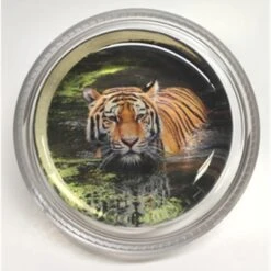 Magic Rosin Luck Of The Tiger Design Rosin, 3G Formula For Violin And Viola(Magic Rosin Tig 3gm Luck Of The Tiger Design Rosin 3g Formula For Violin And Viola)